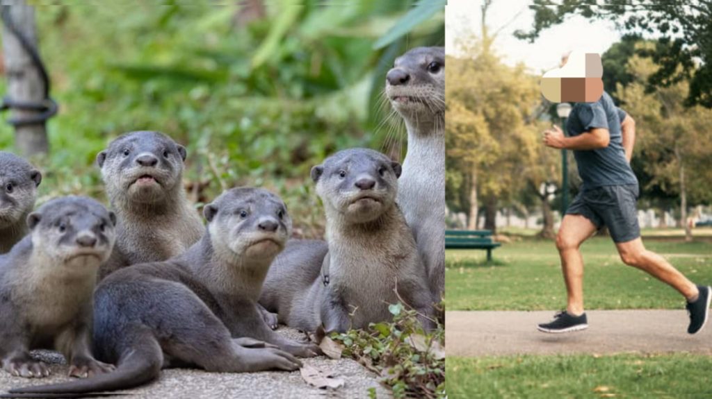 Man_Attacked_By_Otters_In_Singapore