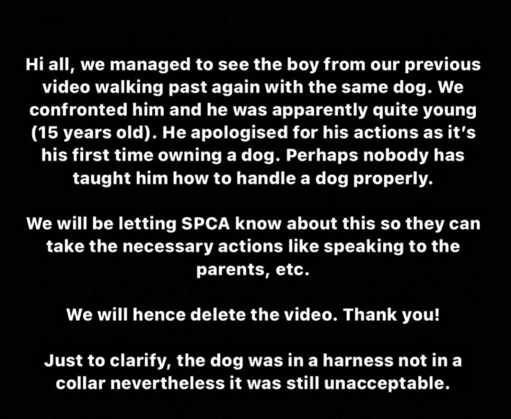 Teen_Apology_Dog_Abuse_Video