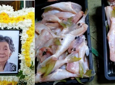 elderly_dies_after_eating_pufferfish_in_johor