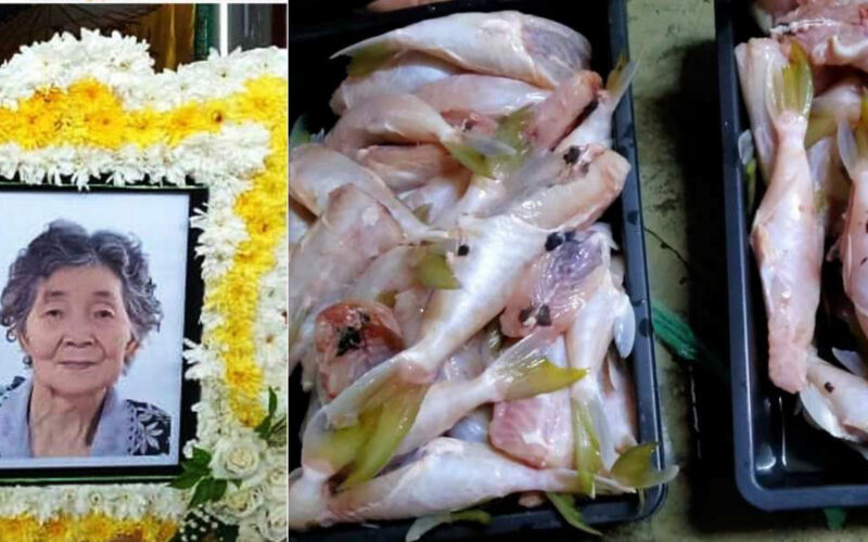elderly_dies_after_eating_pufferfish_in_johor