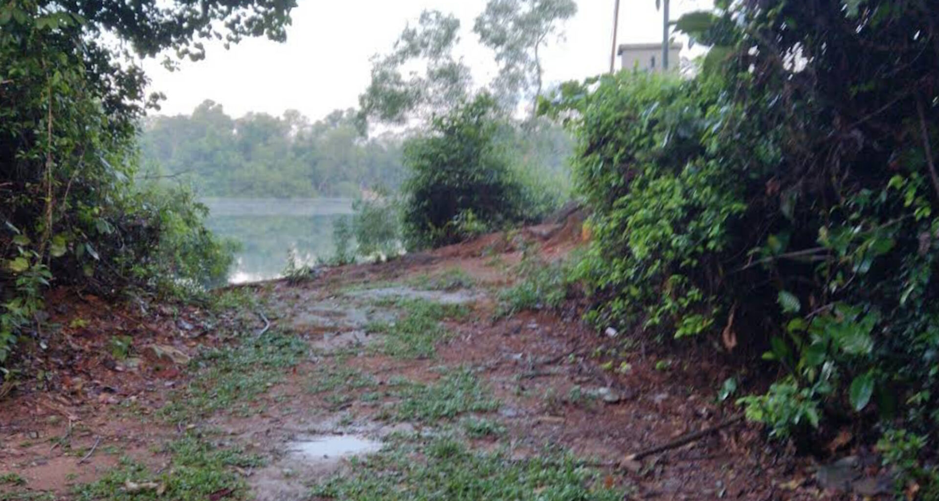 NSF_found_dead_Kekek_Quarry_at_Pulau_ubin