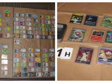 man_in_singapore_charged_for_stealing_pokeman_cards