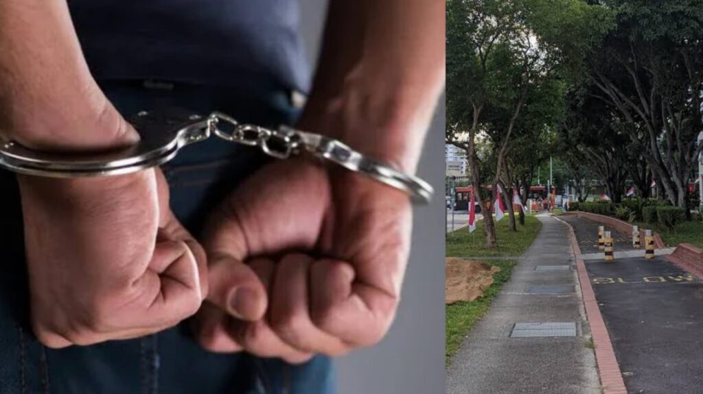 pasir_ris_street_theft_case