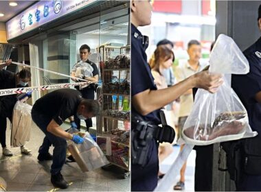 Teen-robbery-at-pasir-ris-Elias-Mall