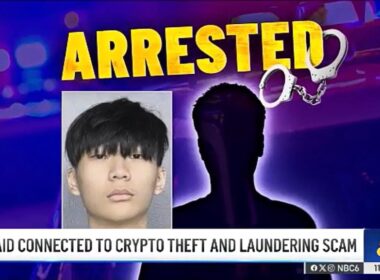 singaporean-man-among-2-charged-in-230-million-cryptocurrency-theft-case