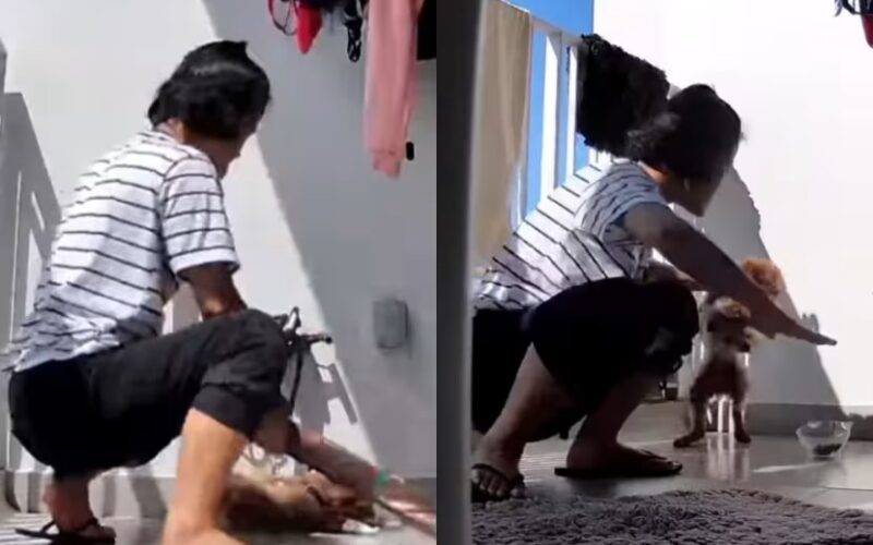 maid-in-singapore-jailed-for-dog-abuse-viral-video