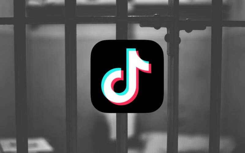 man-jailed-for-posting-tiktok-video-of-police-officers-racist-remark