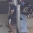 teen-who-performed-obscene-act-on-cat-pleads-guilty-in-court