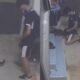 teen-who-performed-obscene-act-on-cat-pleads-guilty-in-court