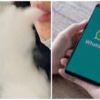 teen-charged-for-selling-vapes-on-whatsapp-singapore