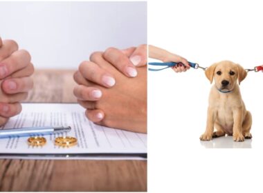singapore-woman-divorced-claim-dog-ownership